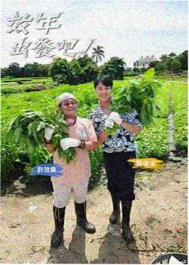 环游亚洲 91亚洲成人旅行综艺